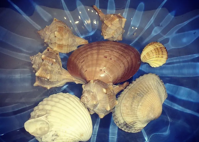 Cristallo מלון 2*